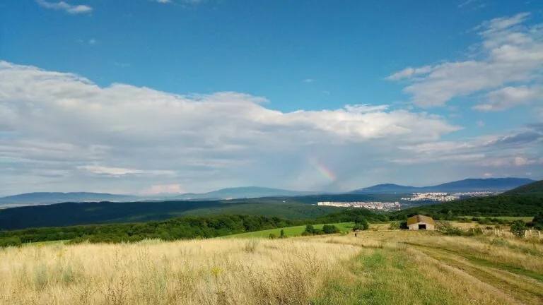 zaburzenia metaboliczne ketoza kwasica