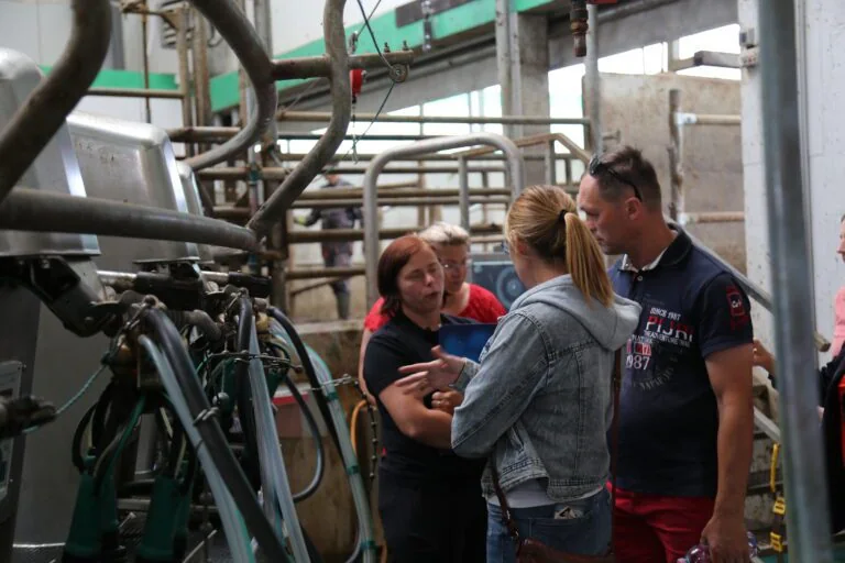 Precyzyjny dój