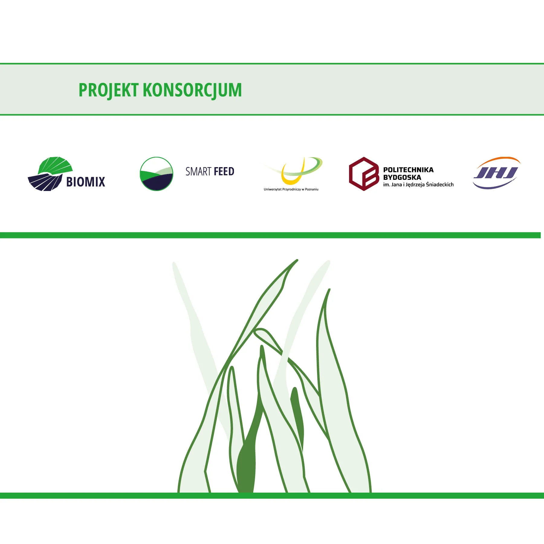 Konsorcjum opracowuje nowy dodatek mineralno-witaminowy