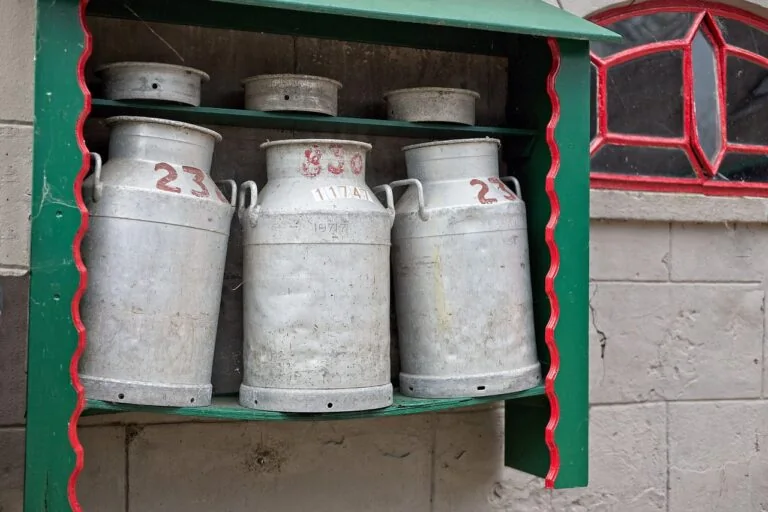 zarządzanie pastwiskami
