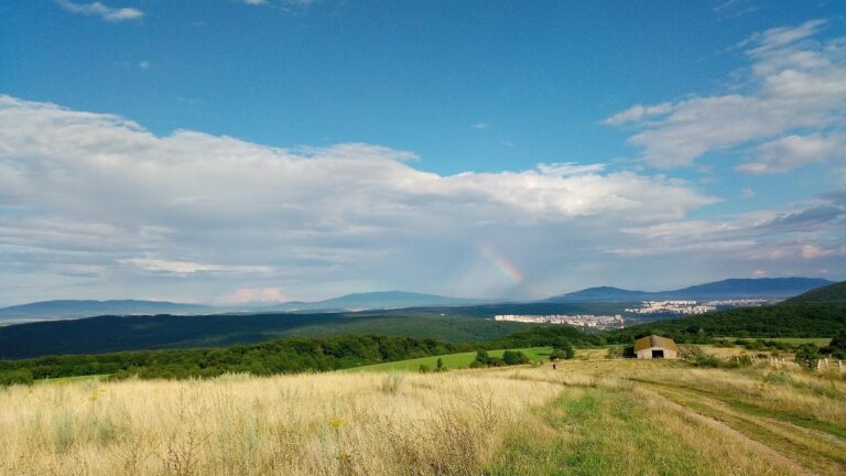 zaburzenia metaboliczne ketoza kwasica